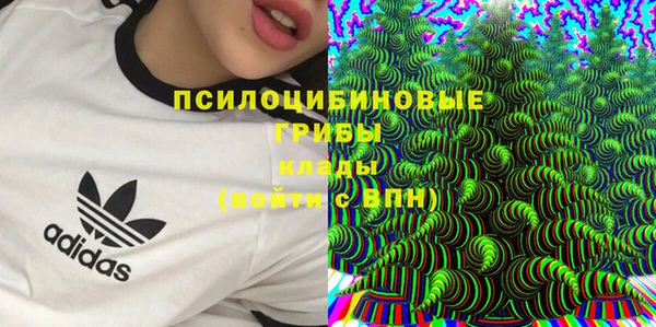 2c-b Белокуриха
