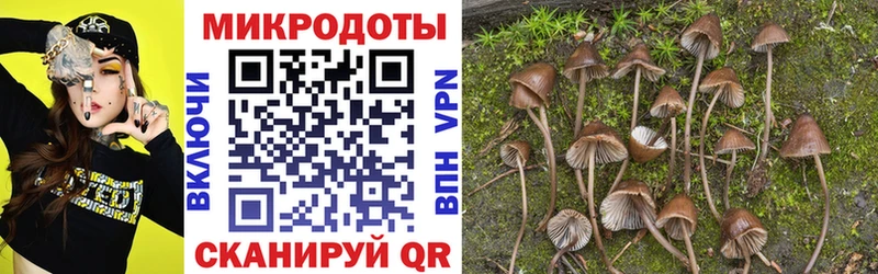 Галлюциногенные грибы прущие грибы  Коряжма 